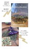 「風邪の引き始めにも🤧🌿👌🏻✨」