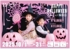 【きょんちゃん】舞台小物 出窓 パーテーション 撮影小物 店舗 撮影 2025.3.9. 飫肥城近隣 きこちゃん卒業記念撮影会 #さら #小川咲