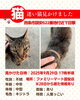 「【ファミリーマート西条国安店付近】迷い猫を見かけました（2025年9月28日から目撃情報あり）」
