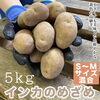 「🥔インカのめざめ販売開始🥔」