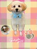 「Dog salon mofu mofu　余市町」