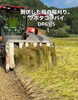 「稲刈り🌾クボタコンバインDR6115編」