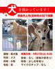 「迷い犬を保護しています【愛媛県西条市上市甲694番地付近（※宝林寺近辺）】」