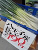 Y-FARM　高月町　八王子産長ネギ　「八王子産長ねぎが入荷！新鮮野菜を税込190円でご用意しています」