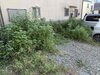 before「草むしりや草刈りなどちょっとした生活のお悩みも株式会社SAJIにお任せください♪」