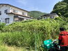 「【ハンマーナイフモア】2メートル以上の草刈り作業もおまかせ！【諏訪エリアの便利屋】」