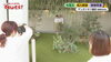 番組司会者のポートレート撮影風景！「『デュボンタン諏訪』さん、『Het's』さんがLCVテレビで紹介されます！」