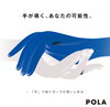 「POLAについて」