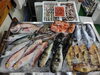 「📣本日入荷のお魚情報🐟  」