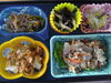 「10/6 お弁当の献立」