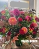 巨大ドライフラワー装花レンタル開始 | 有限会社宮津農園のニュース