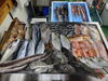 「📣本日のお魚情報🐟」