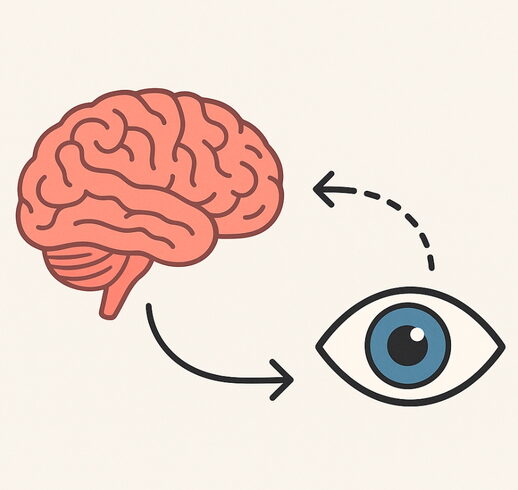 脳と視覚「🧠 盲視(もうし)に見る「意識の座」とは?」