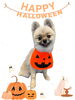 「Dog salon mofu mofu　余市町」