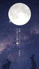 「『金運・クリエイティブ・良縁』を引き寄せる満月🌕 【札幌北区篠路プライベートサロン　Te-tora】 美軸・数霊術カウンセリングも好評！脳波と骨格を整え睡眠の質を上げる安眠エステ」