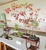 「入笠やまの花友の会 秋の展示会 開催のお知らせ🍂」
