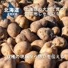 北海道の大地で育つ加工用じゃがいも。収穫の現場から想いを伝える【岩見沢　かさいふぁーむ】