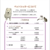 ペットシッターサービスのご案内と最新料金表のお知らせ【catbeard】
