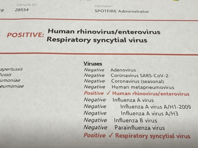 ウイルス 「感染症情報」