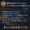 お客様の声「勇気を出して入ったら、そこはまるで神社」