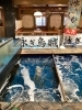 「名物！泳ぎイカが入荷しました｜新鮮なお造りでご提供中」