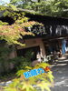 「秋晴れですね🌞🍂」