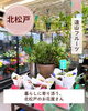 「暮らしに寄り添う、北松戸のお花屋さんをご紹介🌸🍊」