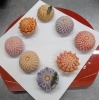 「秋を彩る菊の練り切り—色とりどりの和菓子が店頭に並びました」