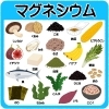 マグネシウムを含む食品「美容皮膚科のドクターTと看護師Nの対話 ― 第5回「マグネシウムとカルシウム:ストレスと肌バリアを整える“リズムミネラル”」」