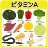 ビタミンAを含む食品「美容皮膚科のドクターTと看護師Nの対話 ― 第6回「ビタミンAとE：細胞を守る“再生と防御のダブルビタミン”」」