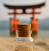 護砂「〇〇の祈りが宿る夜」