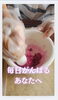 「毎日がんばる“あなた”へ」