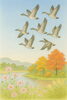鴻雁来「🕊️ 七十二候「鴻雁来（こうがんきたる）」― 渡り鳥が知らせる季節の変わり目」