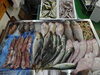 「📣本日のお魚情報🐟」
