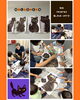 「ハロウィンアートで黒猫をペイント！プリスクールの英語×創作体験」