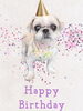 「Dog salon mofu mofu　余市町」