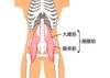 「腸腰筋が働いていないとどうなるの？」