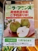 「山形県産ラ・フランス 産地直送宅配ご予約受付中！12月7日（日）まで」