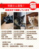 「【新居浜市】茶トラ、黒猫、サビ猫　3匹の里親募集のお知らせ！」