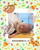 「秋|桶谷式母乳育児相談室それいゆです☆船堀駅徒歩3分☆」