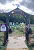 「ハーブがいきいき🌿✨✨✨」