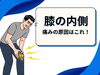「膝の内側が痛いのはなんで？【松江・出雲・米子・整体・根本改善】」