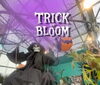 「TRICK or BLOOMフェア開催します🍄🎃🕸️ 江戸川区松島　新小岩　船堀」
