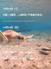「🏝️ヤシの木接骨院の直近の空き枠【犬山市/各務原市/扶桑町/江南市/可児市】」