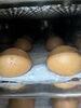 「蜜入り茶饅頭」
