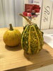 ハロウィン「🎃ハロウィン気分で“ととのう”週末を♪」