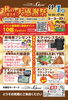 お客様感謝祭を開催致します‼️ぜひご来店下さい🚙「11/1（土）秋の大感謝祭開催！大抽選会や来店プレゼントなどイベント盛りだくさん」