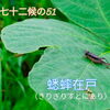 「10月18日、今日は何の日　八王子市片倉町の個別指導学習塾『和泉学習研究所』～中高受験からその先の未来までサポート～」
