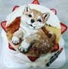 1歳のお誕生日おめでとう！プレート描き「世界に一つの記念日ケーキ🎂は当店にお任せください🎉　　【京阪牧野駅から徒歩4分】」