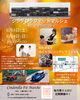 「11/8・9 シンデレラフィットマルシェに出店！焼き菓子＆シュークリームで秋のごほうび」
